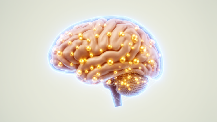 Nine Genes Tied to Cognitive Performance Across Cortical and Subcortical Brain Tissues