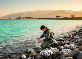 Desalination Brine Reshapes Microbial Communities in Chilean Bay