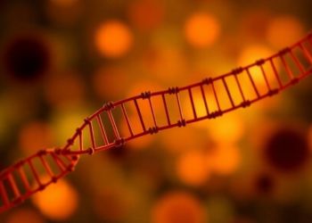 Blood Cell DNA Fingerprints Could Expose Hidden Inflammation in Diseased Tissue