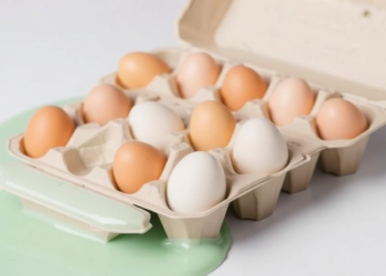 Slime, Egg Cartons and a 53-Cent Trainer That Could Save Lives
