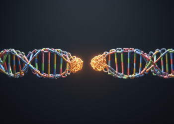 Browser-based LAMP primer designer keeps target sequences private and flags dimers
