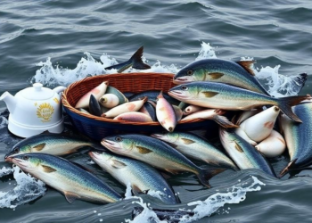 Southwest Atlantic Fisheries Face Climate Chaos Without a Governing Body