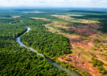 IRET-SICA index reveals uneven resilience in 40 Central American restoration projects