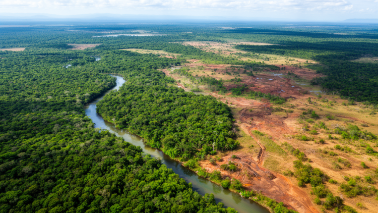 IRET-SICA index reveals uneven resilience in 40 Central American restoration projects