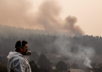 Wildfire PM2.5 linked to greater risks than other air pollution