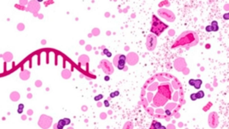 Genetic Barcodes Reveal What Tumor Biopsies Miss