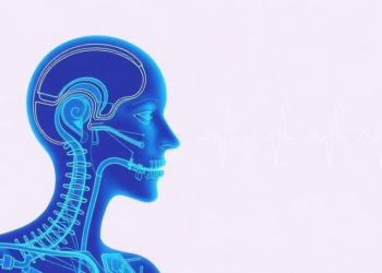 AI Reads Breathing Alone to Diagnose Sleep Apnea in Heart Rhythm Patients