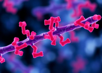 Antibody-Drug Conjugate Combo Delivers 92.6% Complete Response Rate in Low-Risk Lymphoma Patients