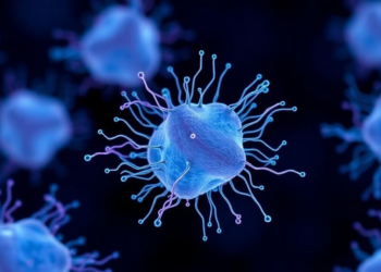 Progesterone Sensitizes Ovarian Cancer Cells to Paclitaxel by Reshaping Microtubule Chemistry