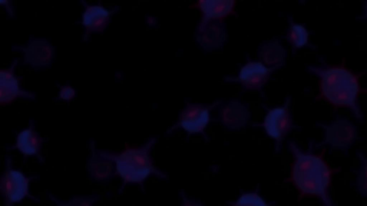 Silent Receptor Boost: Non-Signaling CARs Supercharge T-Cells Against Head and Neck Cancer