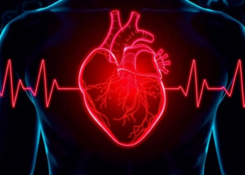 When Sepsis Triggers a Dangerous Heart Rhythm, Doctors Are Still Treating Without a Map