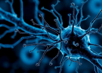 Blocking a Nerve Cell Receptor Could Make Morphine Work Better, Study Finds