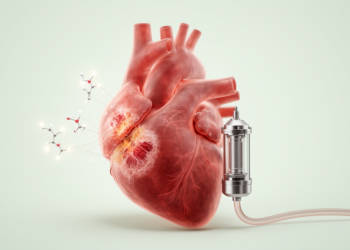 MicroRNA Scars of Heart Failure Persist After LVAD Support in Ischemic Cardiomyopathy