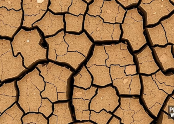 Biopolymer and Fiber Combo Could Heal Drought-Cracked Soils