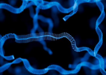 CRISPR-Cas13 Screens Reveal Hundreds of Long Non-Coding RNAs Cells Cannot Live Without