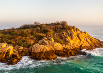 Uruguay’s Punta Ballena rocky point hosts 427 plant species, but 14% have vanished