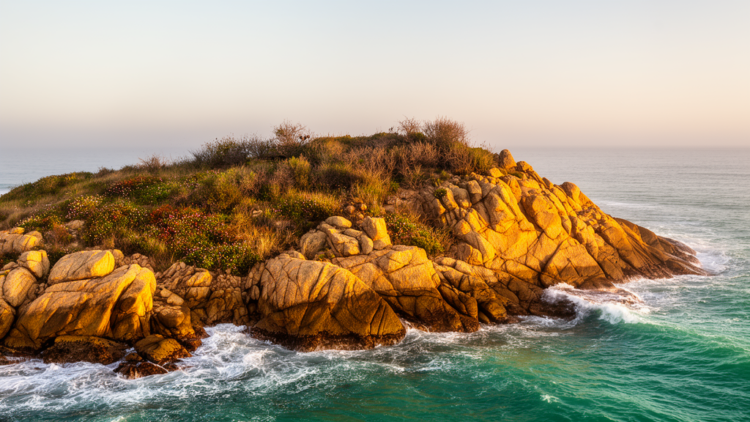 Uruguay’s Punta Ballena rocky point hosts 427 plant species, but 14% have vanished