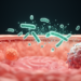 Oral bacterium’s metabolites reshape colorectal cancer and immunotherapy outcomes