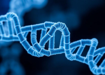 Type II Collagen Scaffold Switches On a Genetic Circuit That Keeps Cartilage Young