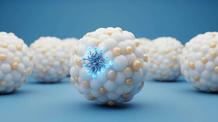 Targeting Fat Cells With Sphingosine Kinase 2 Inhibitors Shows Promise Against Obesity in Mouse Studies