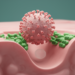 Receptor EGFR helps swine diarrhea virus enter cells, study finds
