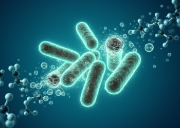 Amino Acid L-Histidine Restores Carbapenem Power Against NDM-Resistant Superbugs