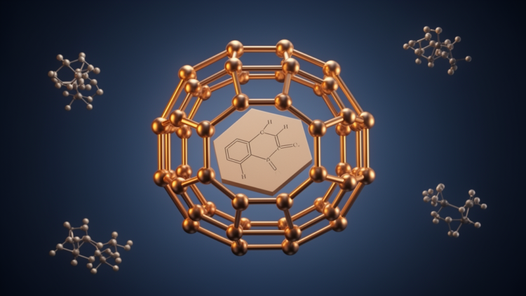 Molecular Cage Traps Planar Aromatic Molecules by Shape Alone