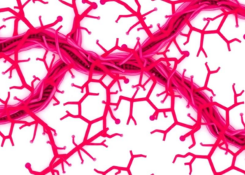 CD39 Emerges as a Deadly Biomarker and Drug Target in Bile Duct Cancer