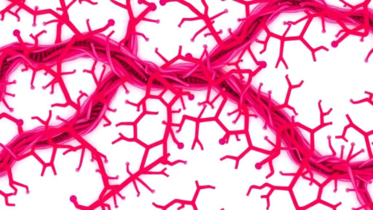 CD39 Emerges as a Deadly Biomarker and Drug Target in Bile Duct Cancer