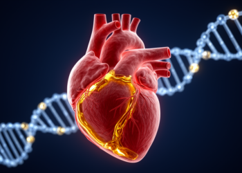 Genes Behind a Rare Heart-Filling Disorder Point Toward Personalized Care