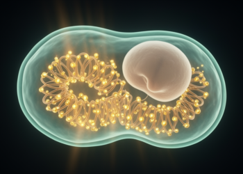 RNA Chemical Marks Emerge as Hidden Regulators of Poultry Growth and Immunity