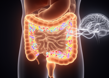 Gut Microbiota Therapies in Parkinson’s Disease: Probiotics Ease Constipation, Motor Benefits Remain Unproven