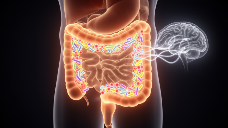 Gut Microbiota Therapies in Parkinson’s Disease: Probiotics Ease Constipation, Motor Benefits Remain Unproven
