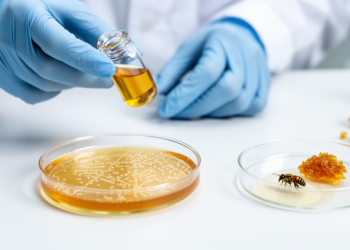 Stingless Bee Honey and Propolis Show Antimicrobial Activity Against Key Pathogens