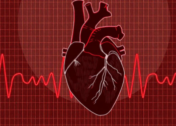Heartbeat Timing Steers How Stiff Arteries Shape the Heart’s Workload