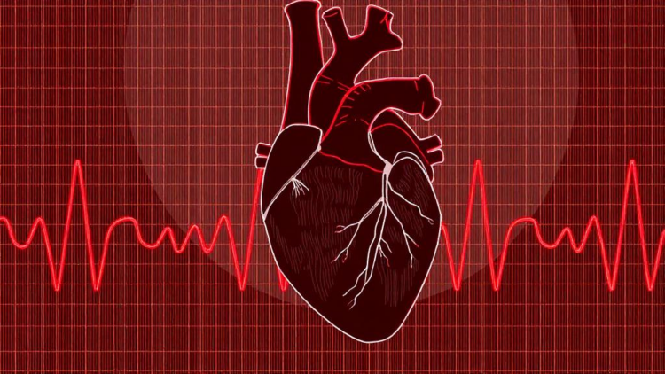 Heartbeat Timing Steers How Stiff Arteries Shape the Heart’s Workload