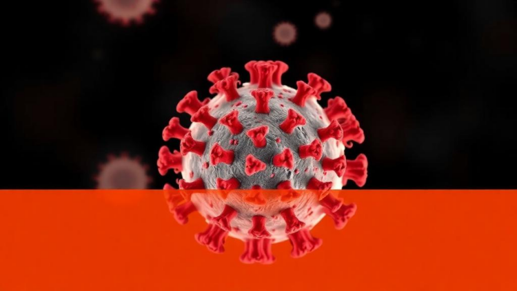 COVID-19 Turned Less Deadly for Lymphoma Patients as the Pandemic Progressed