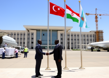 Türkiye Builds African Influence Through Aid, Diplomacy and Security Ties