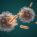 Cystic Fibrosis Macrophages Show Impaired Defense Against Resistant Lung Pathogen