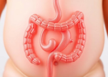 Gut Microbes May Shape Childhood Obesity Risk From the First 1000 Days