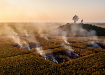Satellites Miss Most Sugarcane Fires, Systematic Review Finds