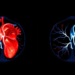 Heart Scan Warning: Low Flow Reserve on PET Quadruples Risk of Death and Heart Failure