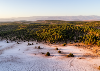 Morocco’s Khenifra National Park Loses Vegetation as Bare Soil Expands