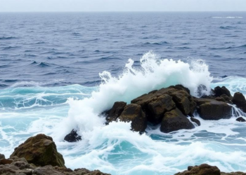 Sea Spray Is Not a Major Route for Forever Chemicals, Newfoundland Field Study Finds