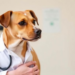 AI Steps Into the Oncology Clinic: How Machine Learning Is Rewriting Veterinary Cancer Care