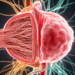 Two Genes, Two Fates: How a Collagen Disorder and Marfan Syndrome Broke the Aorta in Different Ways