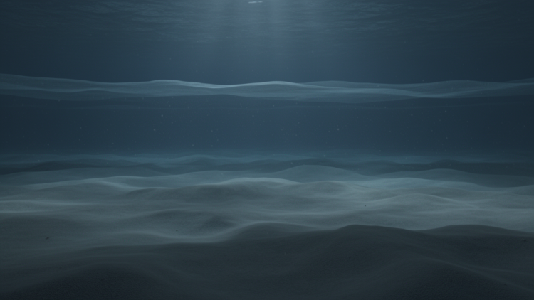 Smoothed seafloors make ocean models overmix the deep Brazil Basin