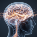 Research Reveals FOMO Is Driven by Automatic, Intuitive Emotional Responses