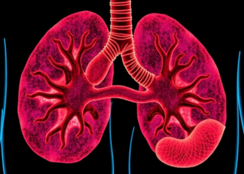 Mutational Map of Gallbladder Cancer Reveals New Paths to Precision Therapy