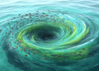 Hidden Ocean Whirlpools: Tiny Eddies Reshape Life on Western Australia’s Shelf